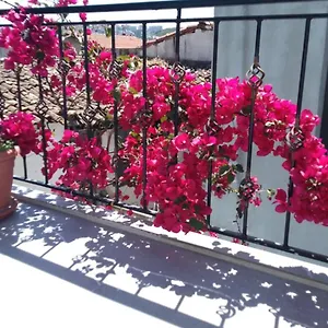 Casa Magnolia Boutique Κουσάντασι